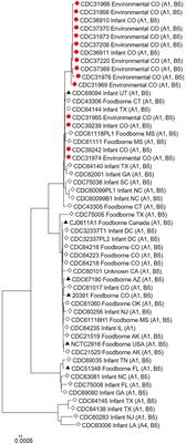 Genomic Characterization of Strains From a Cluster of Infant Botulism Type A in a Small Town in Colorado, United States